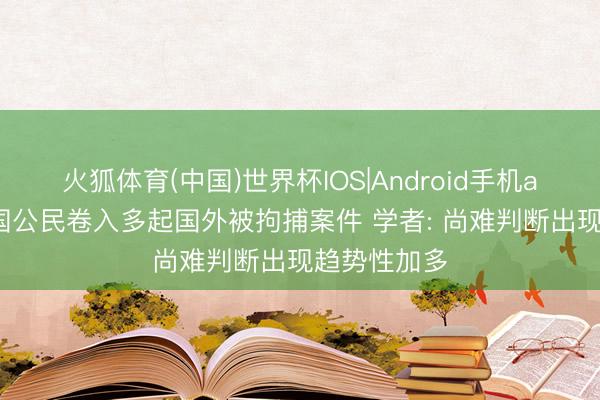 火狐体育(中国)世界杯IOS|Android手机app下载 中国公民卷入多起国外被拘捕案件 学者: 尚难判断出现趋势性加多