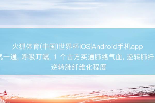 火狐体育(中国)世界杯IOS|Android手机app下载 肺气一通, 呼吸叮嘱, 1 个古方买通肺络气血, 逆转肺纤维化程度