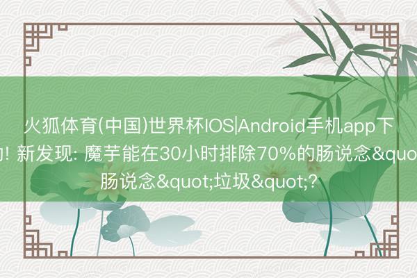 火狐体育(中国)世界杯IOS|Android手机app下载 魔芋立大功! 新发现: 魔芋能在30小时排除70%的肠说念"垃圾"?