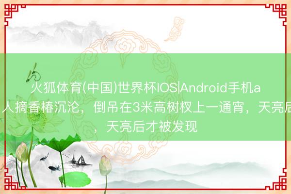 火狐体育(中国)世界杯IOS|Android手机app下载 男人摘香椿沉沦，倒吊在3米高树杈上一通宵，天亮后才被发现