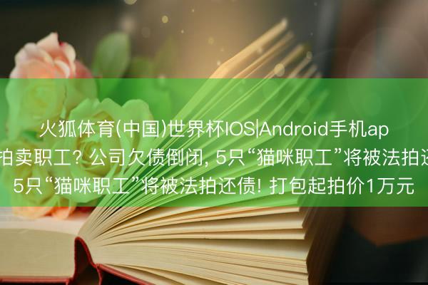 火狐体育(中国)世界杯IOS|Android手机app下载 公司倒闭， 竟然拍卖职工? 公司欠债倒闭， 5只“猫咪职工”将被法拍还债! 打包起拍价1万元