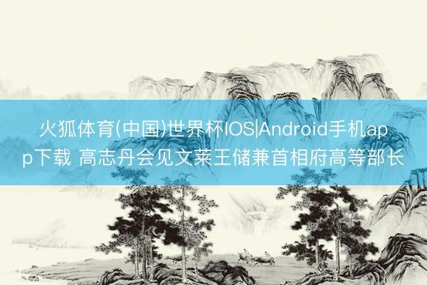火狐体育(中国)世界杯IOS|Android手机app下载 高志丹会见文莱王储兼首相府高等部长