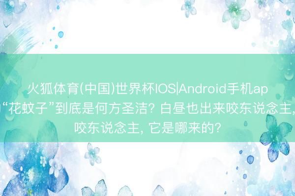 火狐体育(中国)世界杯IOS|Android手机app下载 俗称的“花蚊子”到底是何方圣洁? 白昼也出来咬东说念主， 它是哪来的?