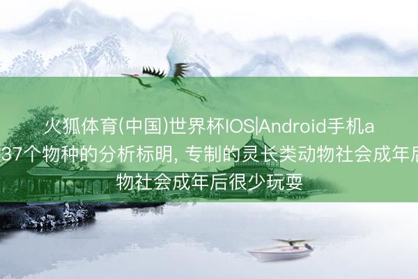 火狐体育(中国)世界杯IOS|Android手机app下载 对37个物种的分析标明， 专制的灵长类动物社会成年后很少玩耍