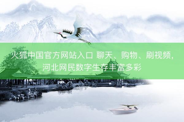 火狐中国官方网站入口 聊天、购物、刷视频，河北网民数字生存丰富多彩