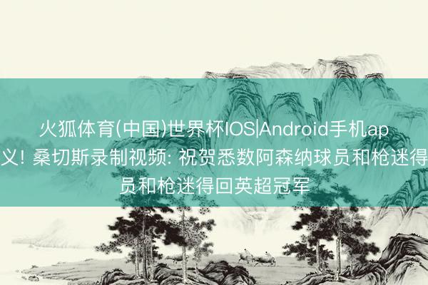 火狐体育(中国)世界杯IOS|Android手机app下载 多情义! 桑切斯录制视频: 祝贺悉数阿森纳球员和枪迷得回英超冠军