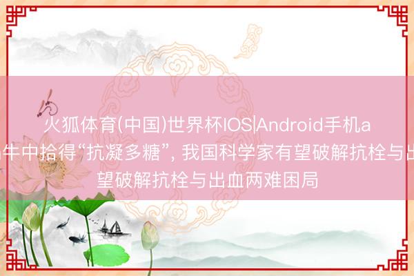 火狐体育(中国)世界杯IOS|Android手机app下载 从蜗牛中拾得“抗凝多糖”， 我国科学家有望破解抗栓与出血两难困局