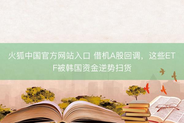 火狐中国官方网站入口 借机A股回调，这些ETF被韩国资金逆势扫货