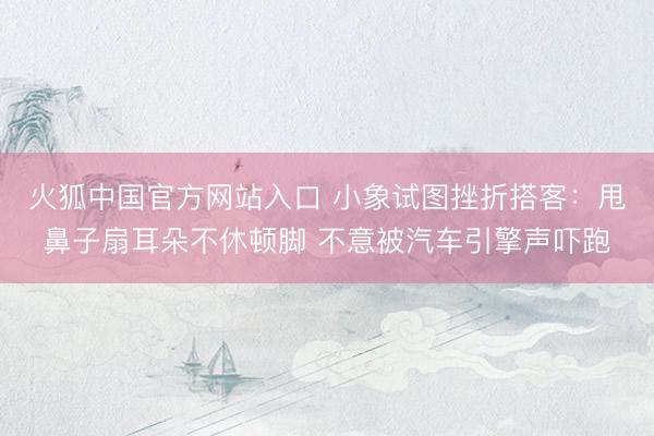 火狐中国官方网站入口 小象试图挫折搭客：甩鼻子扇耳朵不休顿脚 不意被汽车引擎声吓跑
