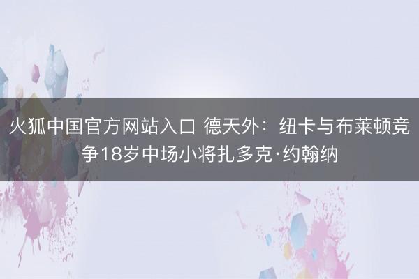 火狐中国官方网站入口 德天外：纽卡与布莱顿竞争18岁中场小将扎多克·约翰纳