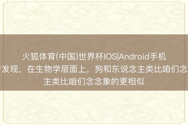 火狐体育(中国)世界杯IOS|Android手机app下载 盘考发现，在生物学层面上，狗和东说念主类比咱们念念象的更相似