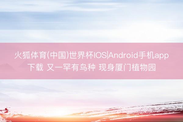 火狐体育(中国)世界杯IOS|Android手机app下载 又一罕有鸟种 现身厦门植物园